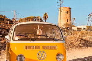 Volkswagen T2 frecce basse 1969 Vw