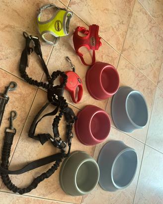 Ciotole, guinzagli e pettorine per cani