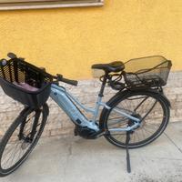 Bici assistita