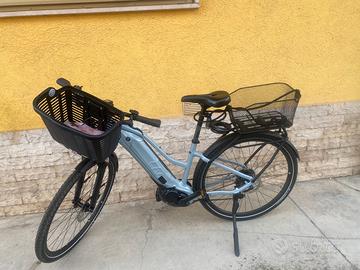 Bici assistita