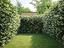 Immagine 22