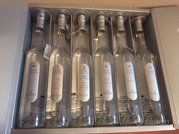 Collezione Alexander Grappa (6 pezzi)