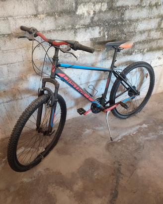 bici montabike 