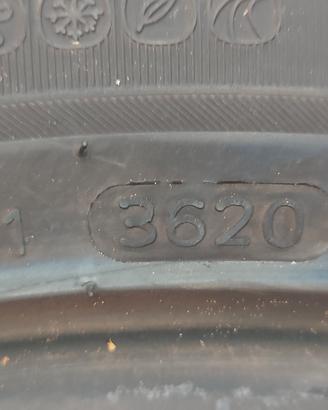 gomme 195/55/16/87V usate