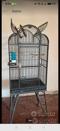 gabbia uccelli 