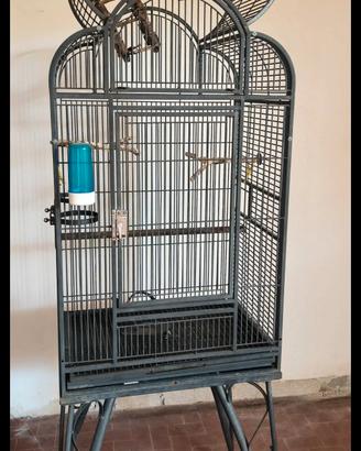 gabbia uccelli 