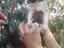 Immagine 6