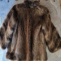 Pelliccia Castoro Taglia M42 Italia