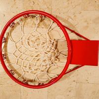 Canestro regolamentare