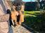 Immagine 6