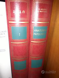 Testo di anatomia patologica. Nuovo. 
