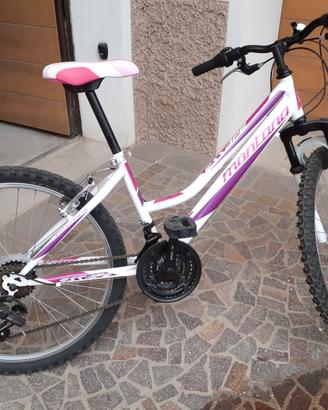 Bike Montana Escape