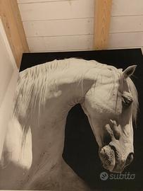 Quadro stampa su tela