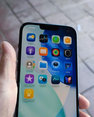 iPhone 13 pro max 