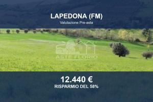Immobile in asta di 20670 m² a Lapedona
