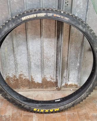Pneumatici gomme da MTB ebike Maxxis, Schwalbe