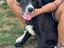 Immagine 4