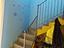 Immagine 11