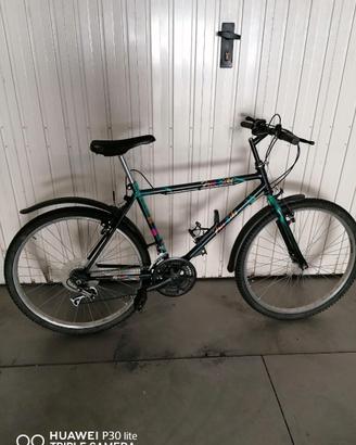 bicicletta uomo