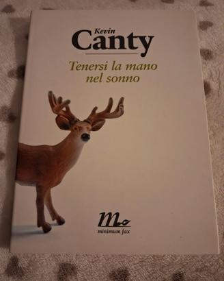 Tenersi la mano nel sonno - Kevin Canty