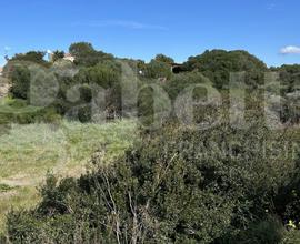 Terreno Residenziale Santa Teresa Gallura [721VCG]
