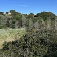 Terreno Residenziale Santa Teresa Gallura [721VCG]