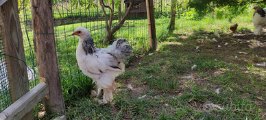 Corso pratico orticoltura