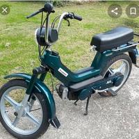 Piaggio SI Variatore Verde