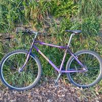 Bicicletta MTB Viner Vintage