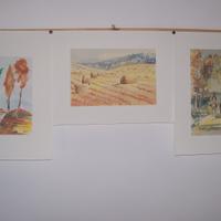 Serigrafie di pitture ad acquerello