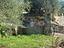 Immagine 13