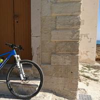 mtb trek superfly 29
