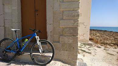 mtb trek superfly 29