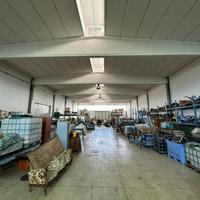 CAPANNONE A COSTA DI MEZZATE