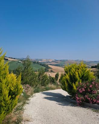 Terreno con struttura Pensione/Allevamento cani