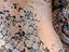 Immagine 6