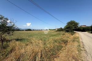 TER. AGRICOLO A FERENTINO