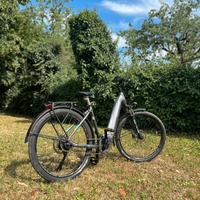 Bicicletta elettrica BRINKE