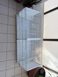 Gabbia x canarini 120 x 40