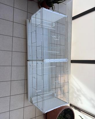 Gabbia x canarini 120 x 40