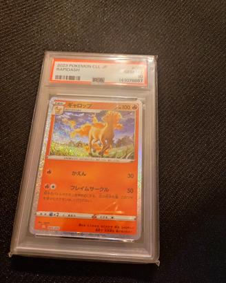 Pokémon Rapidash psa10