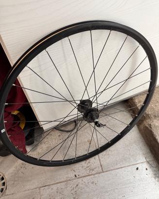 Cerchio bici
