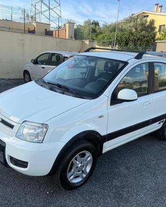 Fiat Panda 1.3 MJT 16V DPF 4x4 Climbing