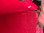 Immagine 5