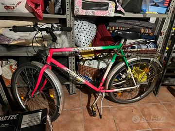 Bici Euroteam mountain bike