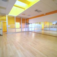 Palestra attrezzata Lusia (RO)