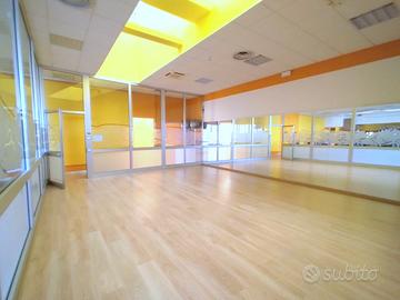 Palestra attrezzata Lusia (RO)