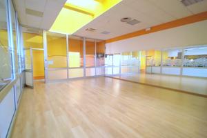 Palestra attrezzata Lusia (RO)