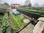 Immagine 20