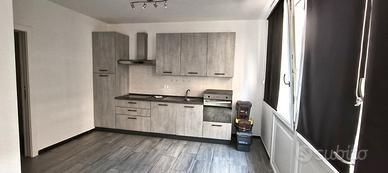 Rif.043 Trilocale ristrutturato con resede privata